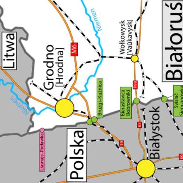 238 cudzoziemców usiłujących nielegalnie przedostać się do naszego kraju z Iranu, Afganistanu, Erytrei, Iraku, Indii, Algierii, Syrii, Maroko, Turkmenistanu, Turcji, Kongo i Sudanu